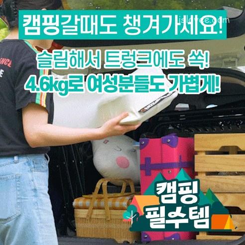 챔피온 프로 안마기 6007P 차량겸용 마사지기